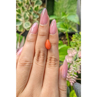 2.66 Ct. Coral from Italy Life Style
