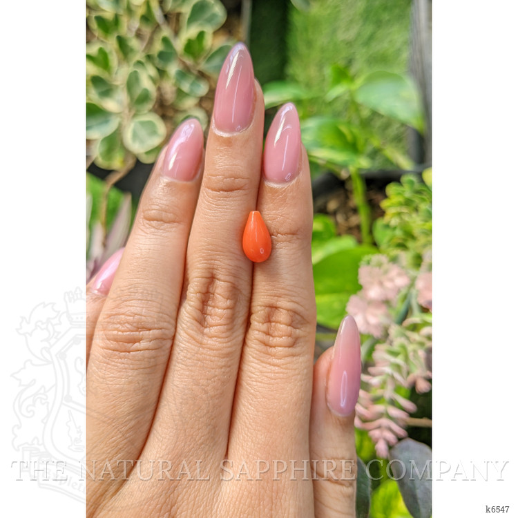 2.66 Ct. Coral from Italy
