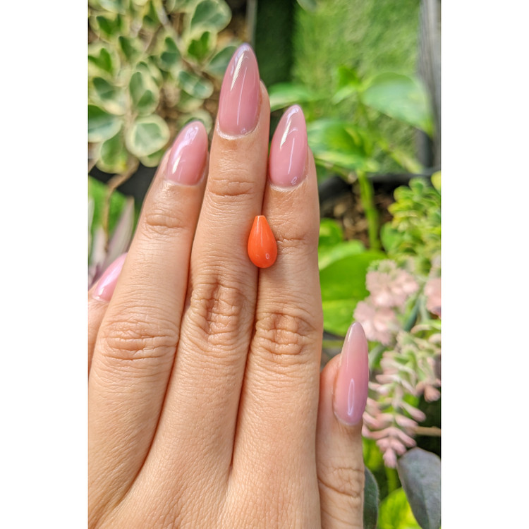 2.66 Ct. Coral from Italy