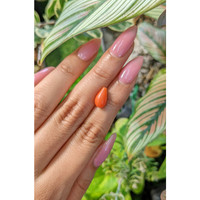 2.66 Ct. Coral from Italy Life Style
