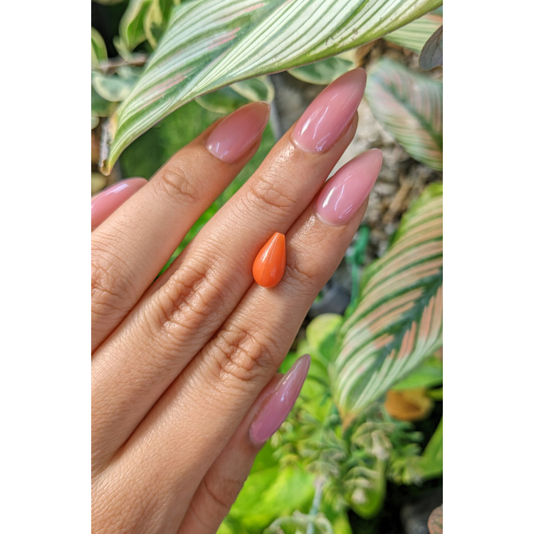 2.66 Ct. Coral from Italy