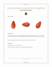 2.62 Ct. Coral from Italy Appraisal