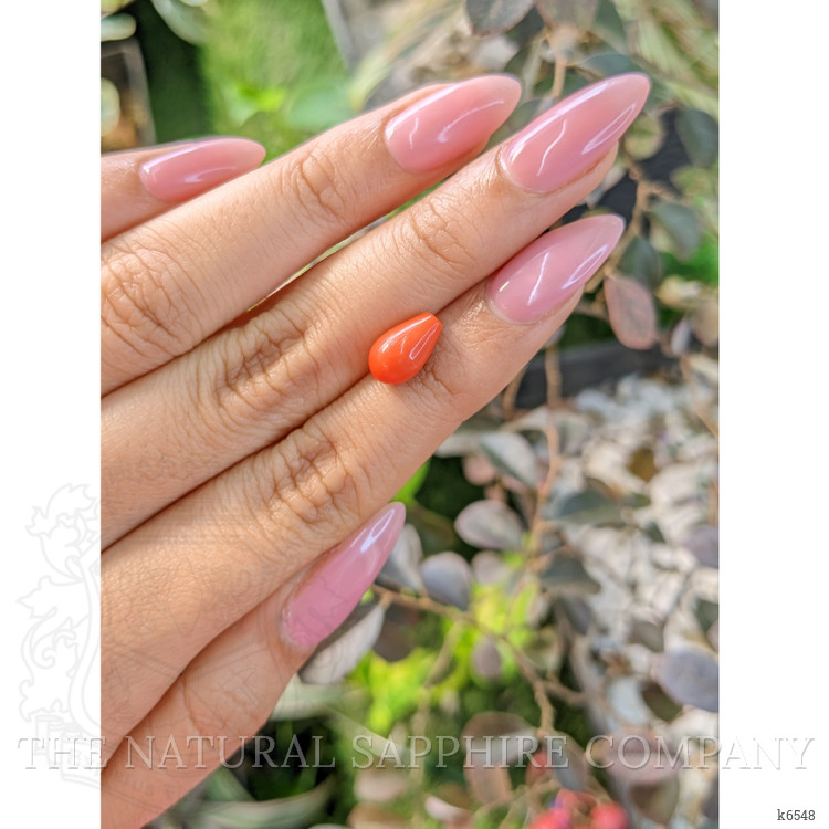 2.62 Ct. Coral from Italy