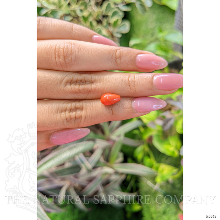 2.62 Ct. Coral from Italy