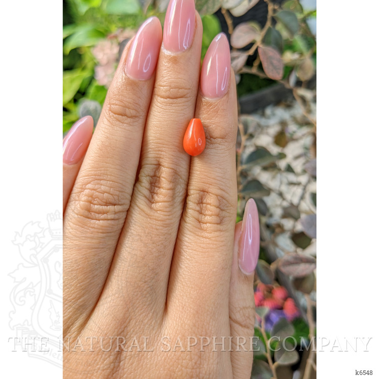 2.62 Ct. Coral from Italy