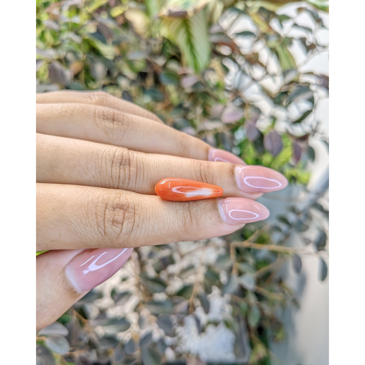 7.50 Ct. Coral from Italy