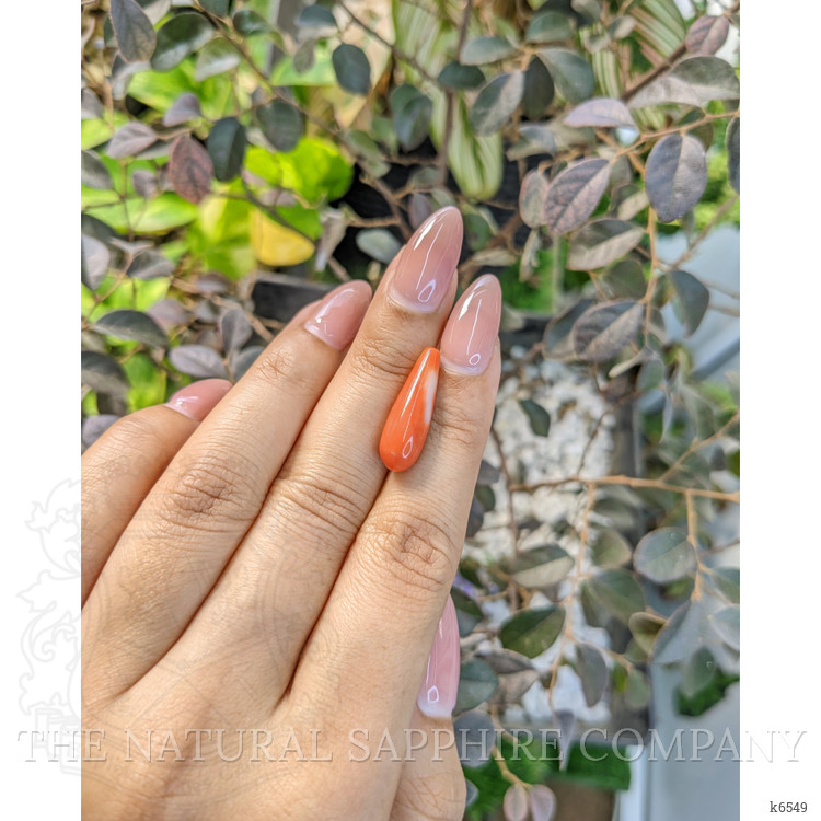 7.50 Ct. Coral from Italy