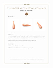 4.64 Ct. Coral from Italy Appraisal