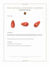 3.50 Ct. Coral from Italy Appraisal