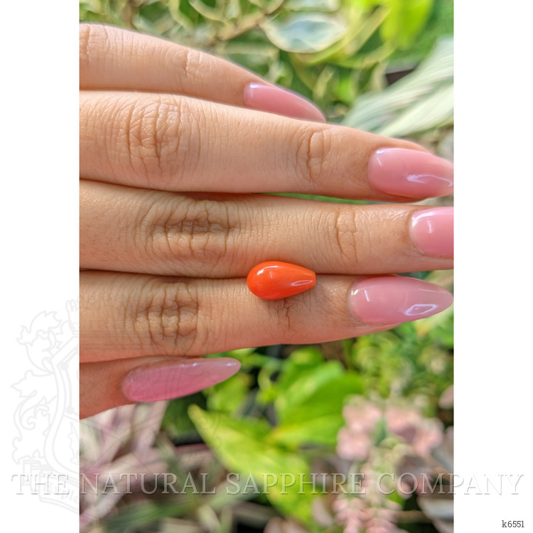 3.50 Ct. Coral from Italy