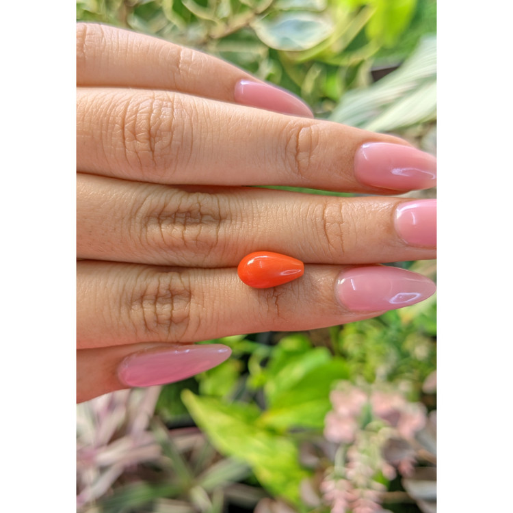 3.50 Ct. Coral from Italy