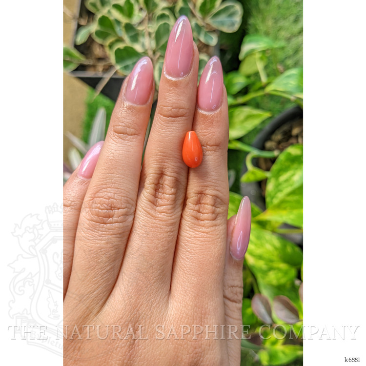 3.50 Ct. Coral from Italy