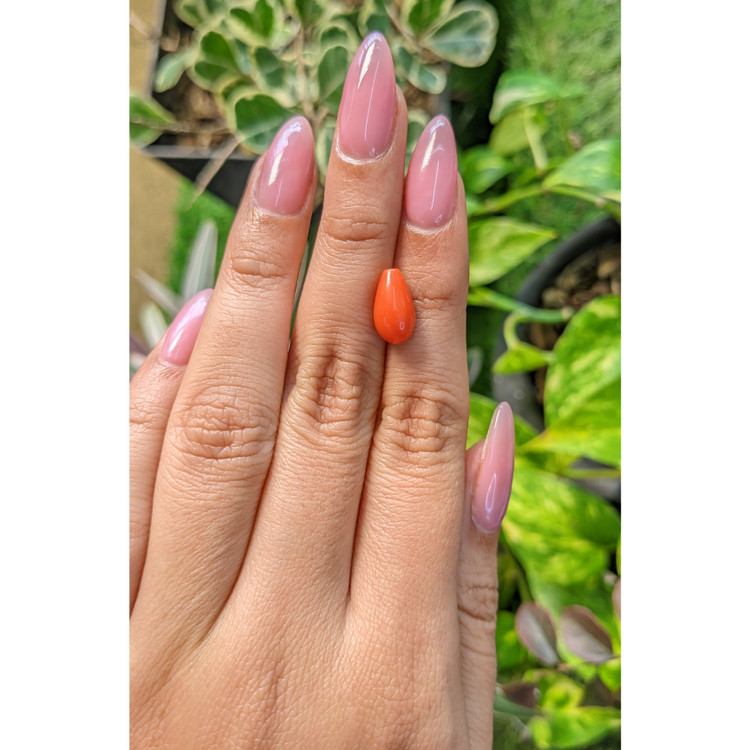 3.50 Ct. Coral from Italy