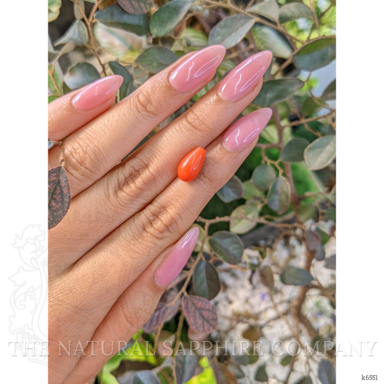 3.50 Ct. Coral from Italy