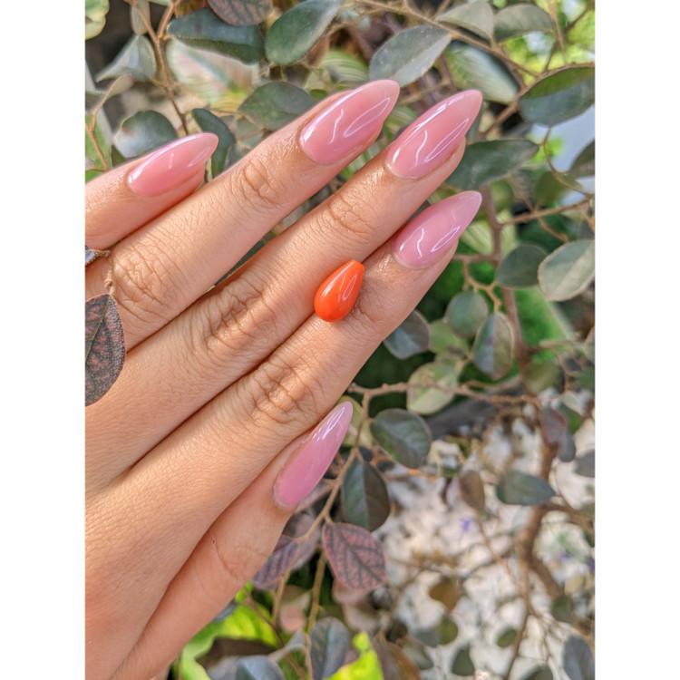 3.50 Ct. Coral from Italy