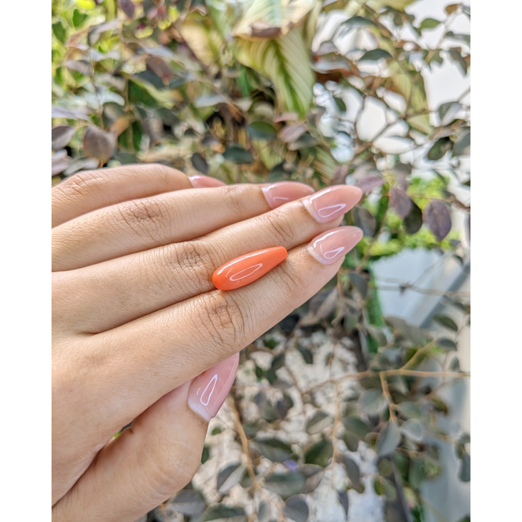 8.58 Ct. Coral from Italy