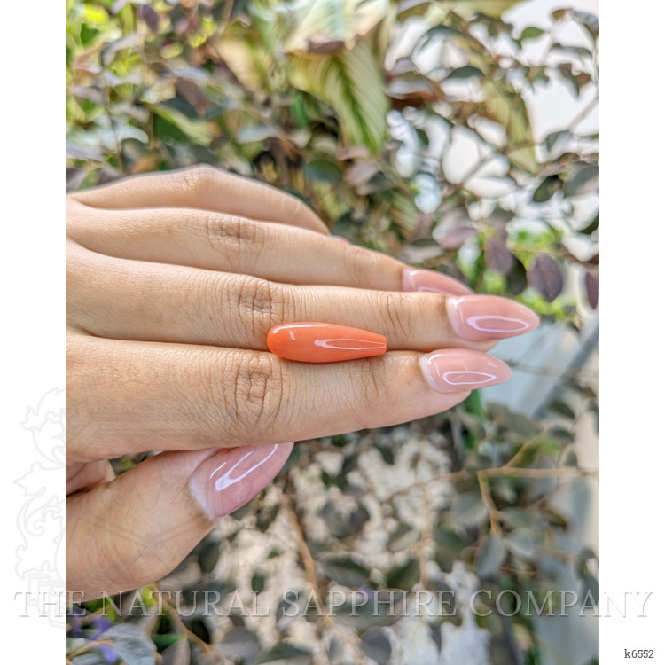 8.58 Ct. Coral from Italy