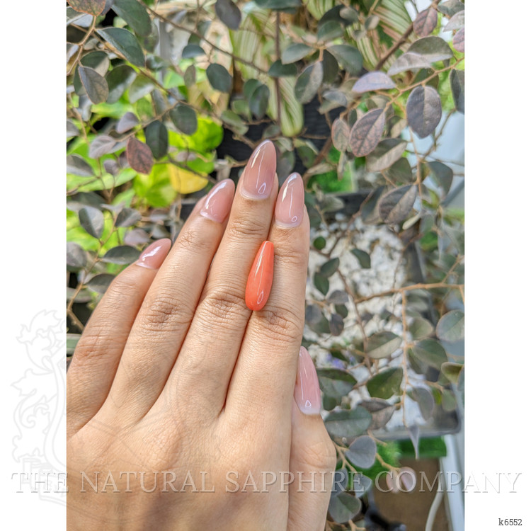 8.58 Ct. Coral from Italy