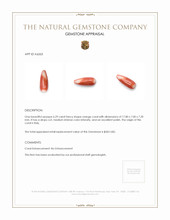 6.29 Ct. Salmon (Orange) Coral from Italy Appraisal