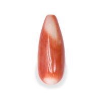 6.29 Ct. Coral from Italy Video