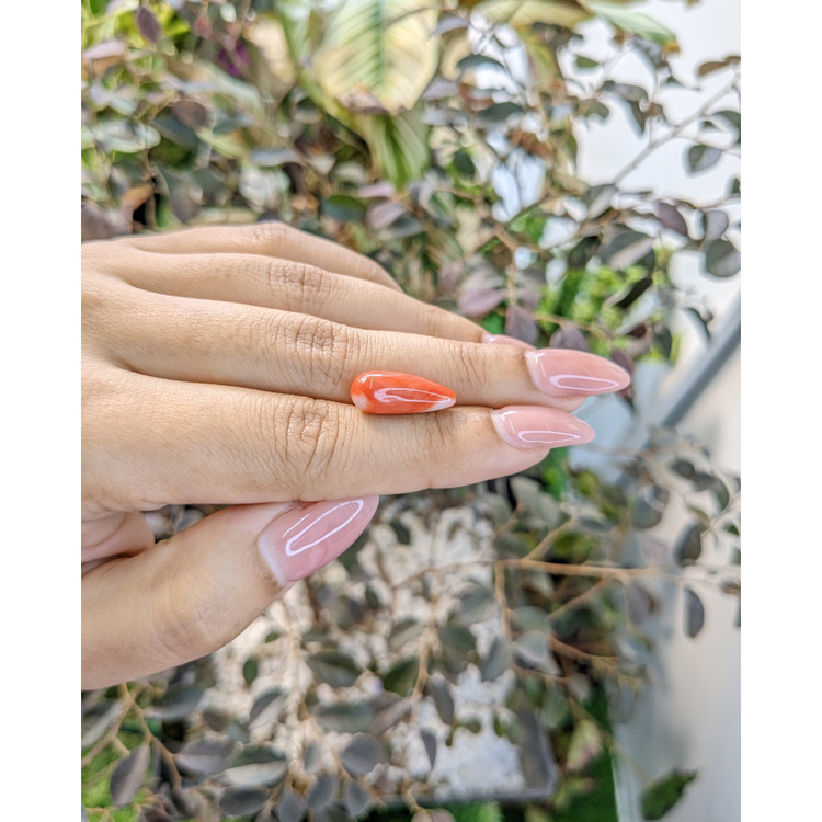 6.29 Ct. Coral from Italy