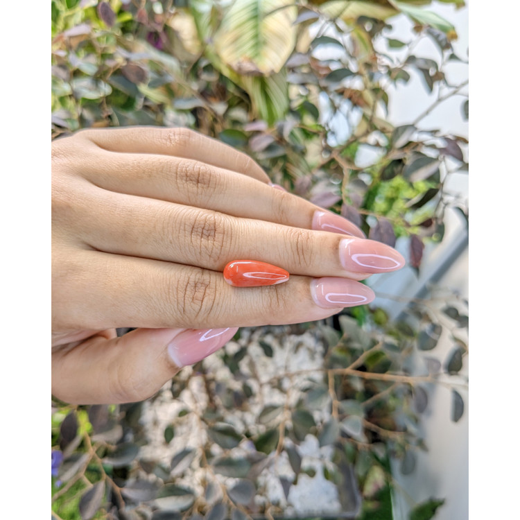 6.29 Ct. Coral from Italy