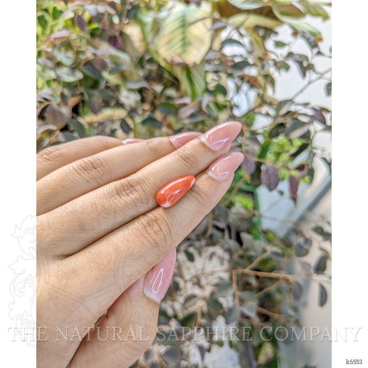 6.29 Ct. Coral from Italy