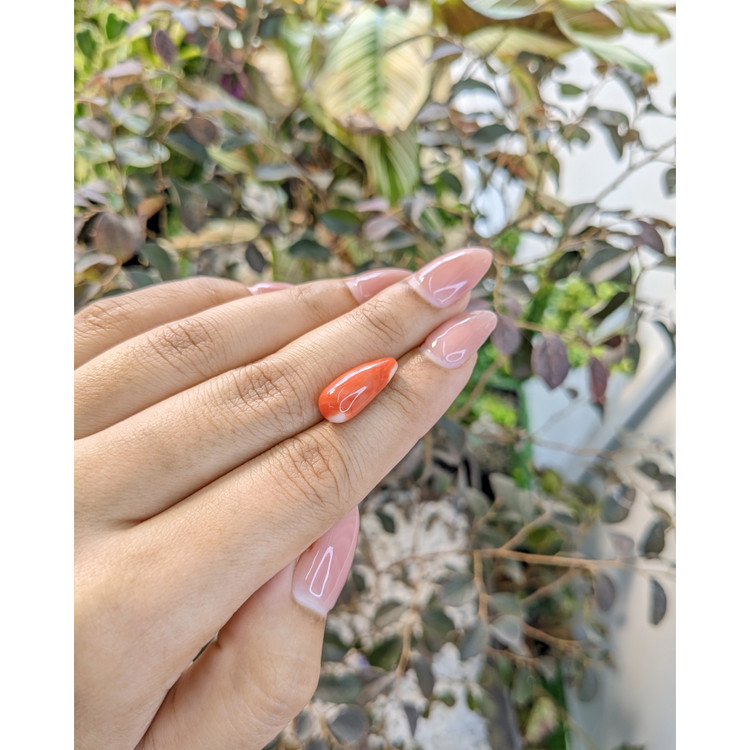 6.29 Ct. Coral from Italy