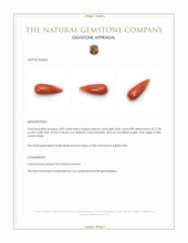 4.89 Ct. Salmon (Orangish Red) Coral from Italy Appraisal