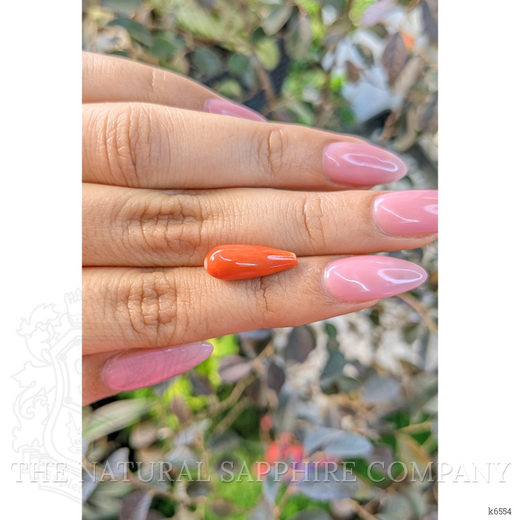 4.89 Ct. Coral from Italy