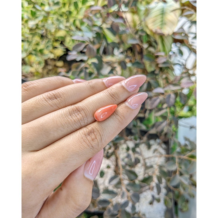 5.48 Ct. Coral from Italy