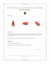 5.28 Ct. Coral from Australia Appraisal