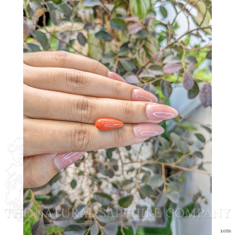 5.28 Ct. Coral from Australia