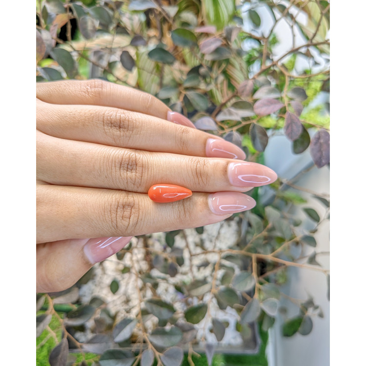 5.28 Ct. Coral from Australia