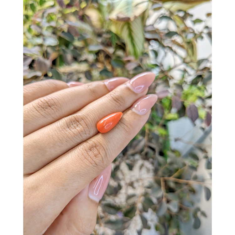 5.28 Ct. Coral from Australia