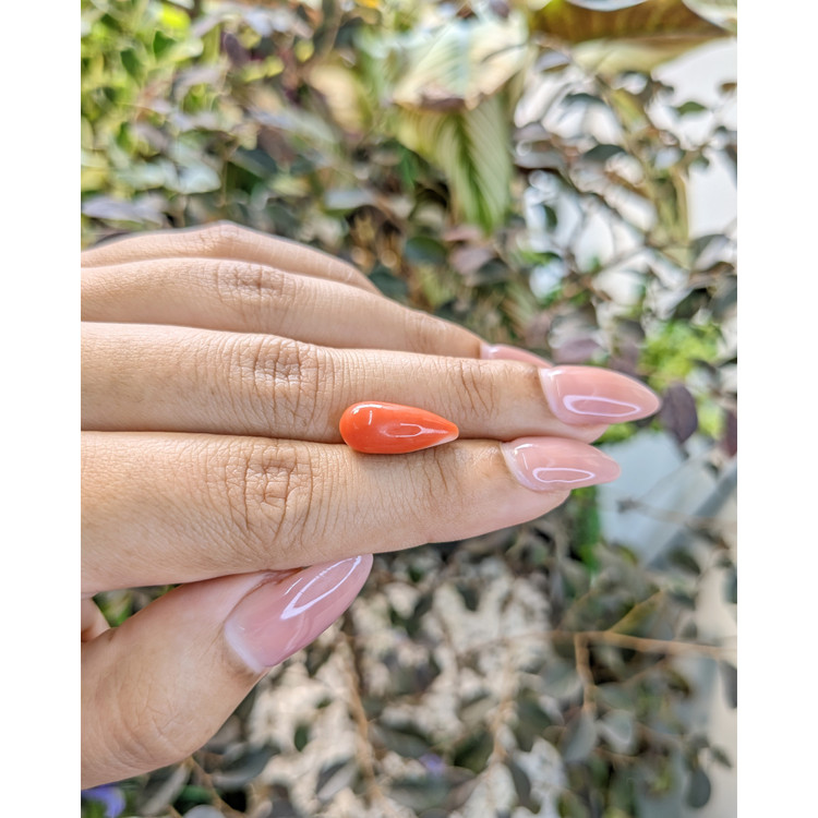 5.28 Ct. Coral from Australia