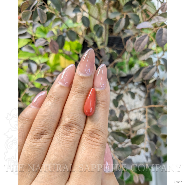 5.74 Ct. Coral from Australia