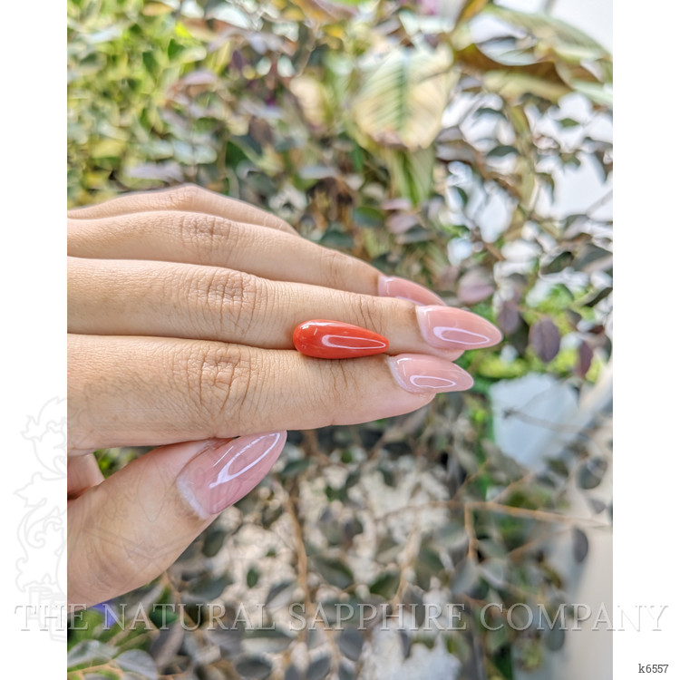 5.74 Ct. Coral from Australia