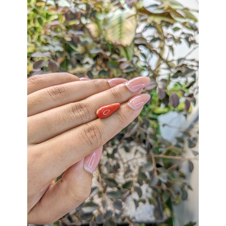 5.35 Ct. Coral from Australia