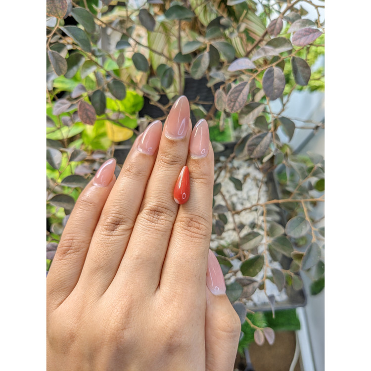 5.35 Ct. Coral from Australia