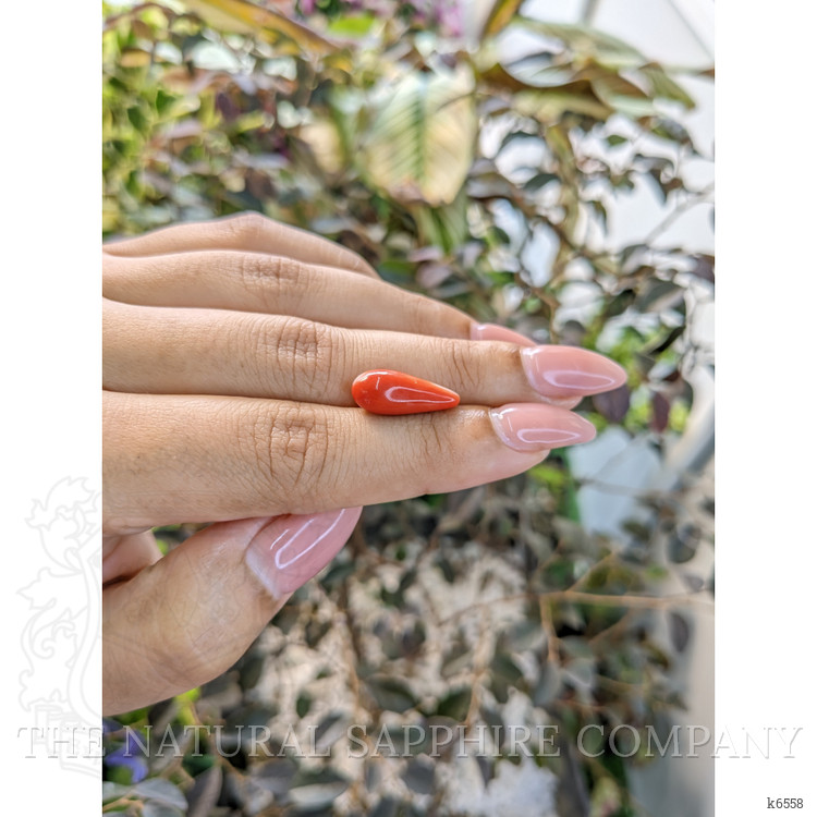5.35 Ct. Coral from Australia