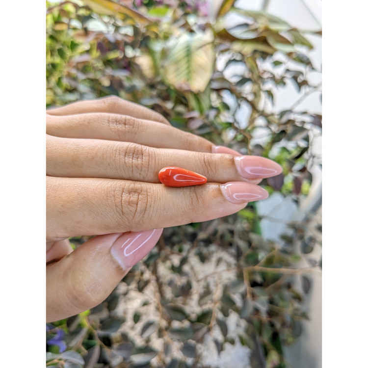 5.35 Ct. Coral from Australia