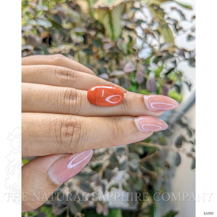 10.56 Ct. Cabochon Coral from Australia