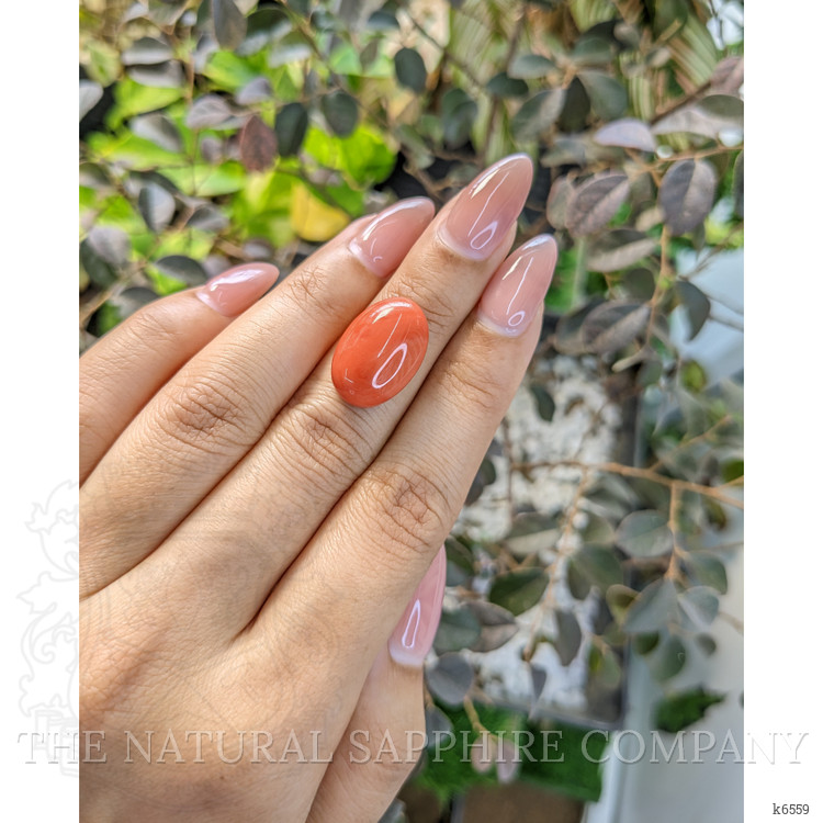 10.56 Ct. Cabochon Coral from Australia