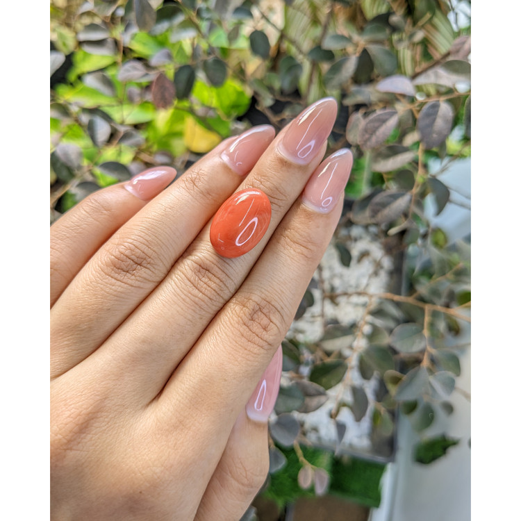 10.56 Ct. Cabochon Coral from Australia