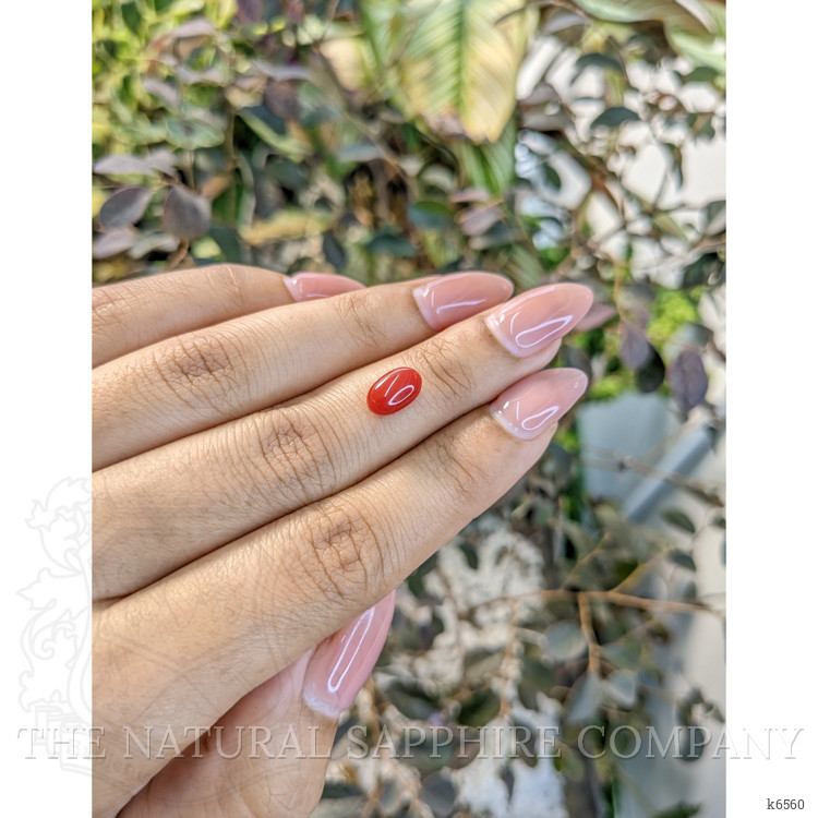 1.68 Ct. Cabochon Coral from Australia