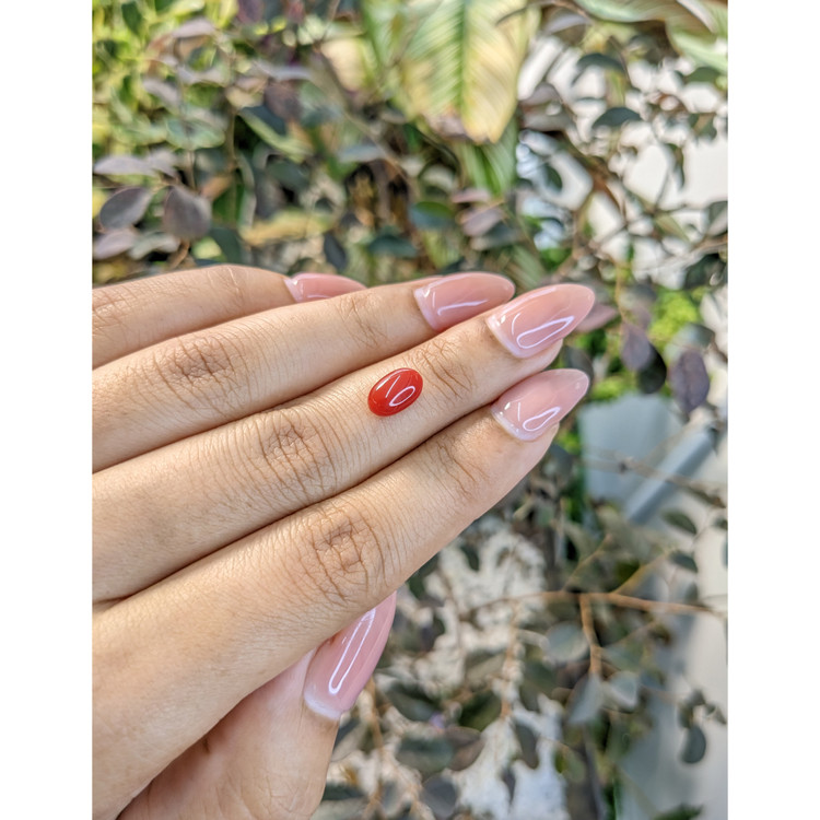 1.68 Ct. Cabochon Coral from Australia