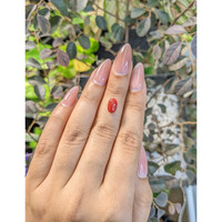 1.68 Ct. Cabochon Coral from Australia Life Style