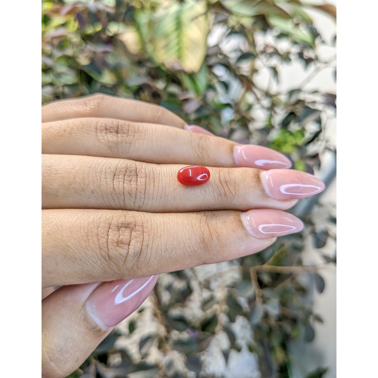 1.68 Ct. Cabochon Coral from Australia