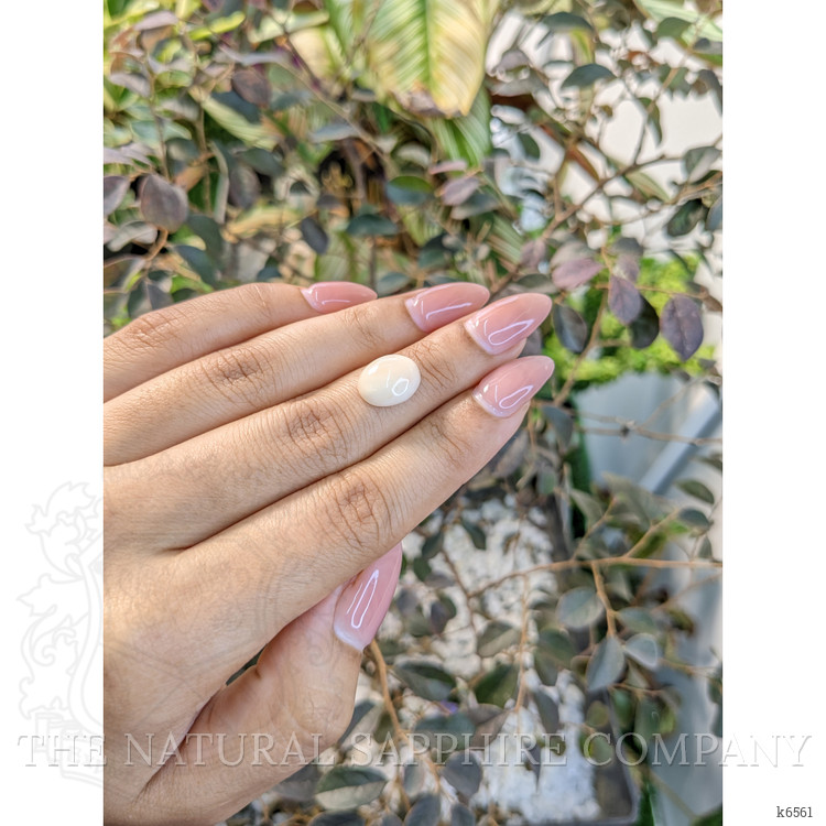 3.62 Ct. Cabochon Coral from Australia